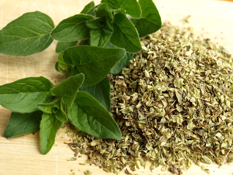 The Importance of Oregano in the Culinary World